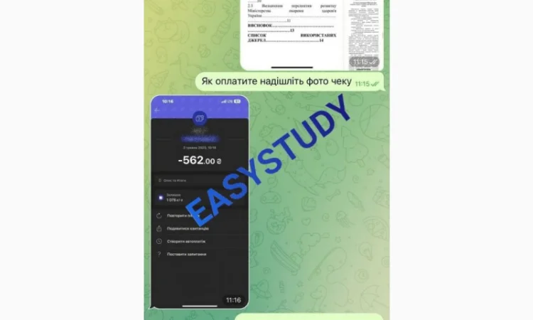 Заказать мотивационное письмо - фото № 9