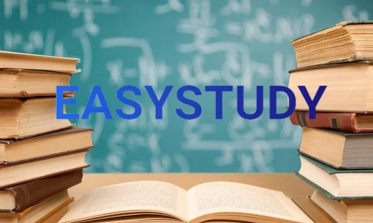 Заказать качественное эссе для успешной учебы - фото № 1