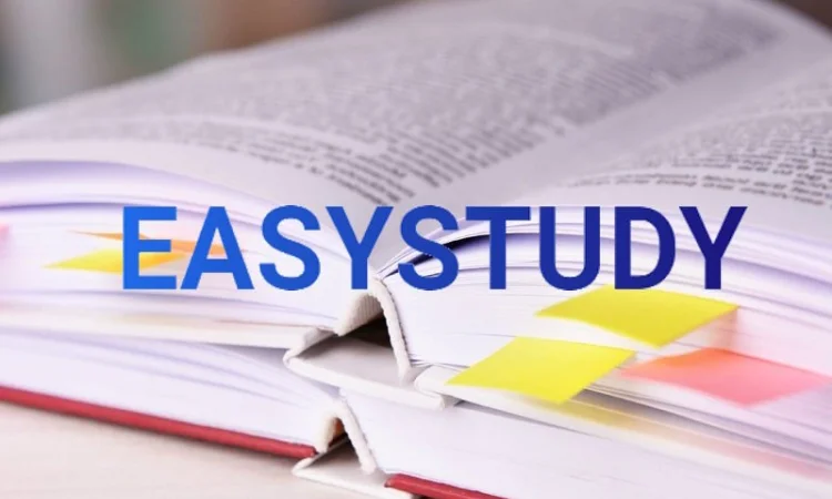 Заказать исследовательское предложение - фото № 1