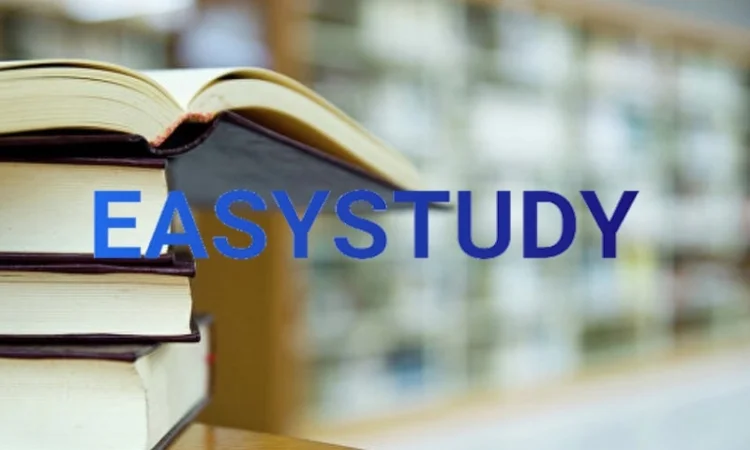 Мотивационное письмо на заказ - фото № 1