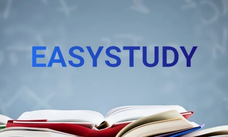 Написание эссе на заказ - фото № 1