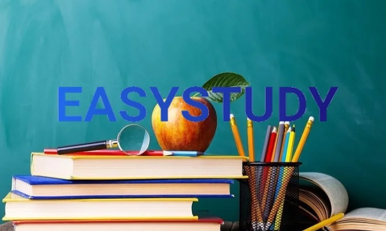 Написание отчета по практике для студентов - фото № 1