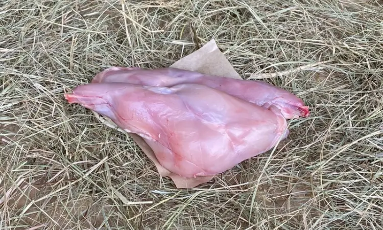 Продажа диетического мяса кролика - фото № 1