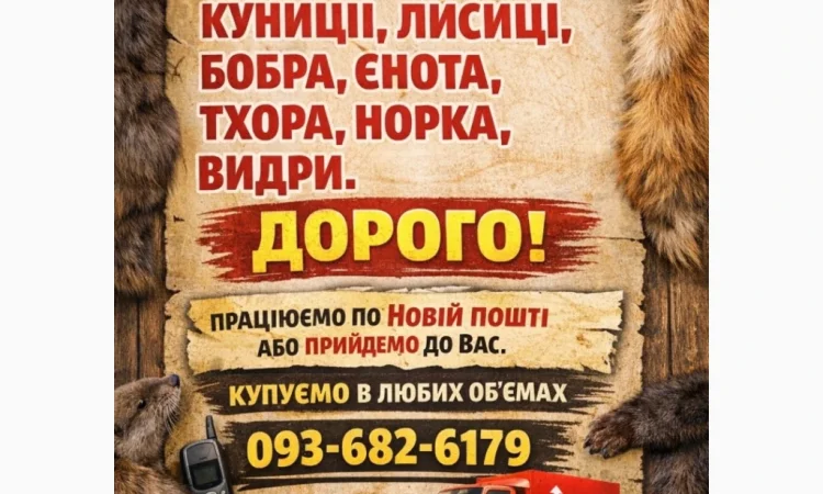 Купую хутро куниці та інших тварин - фото № 1