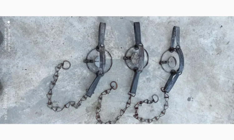 Капкан Барнаул 3 – у продажу - фото № 1