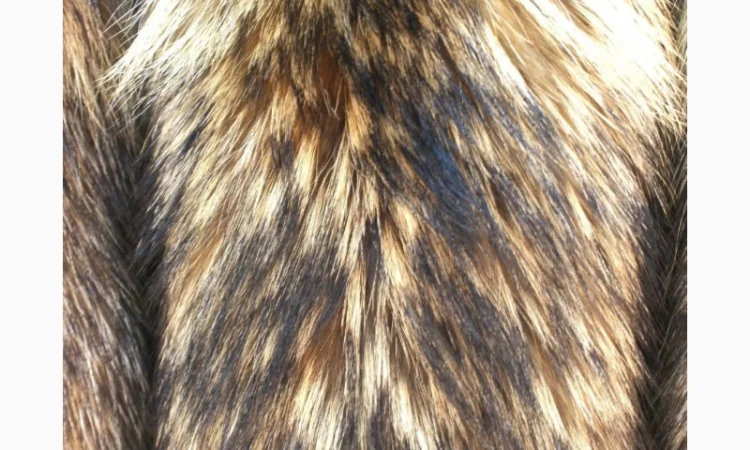 Шкуры енота и енотовидной собаки в продаже - фото № 4