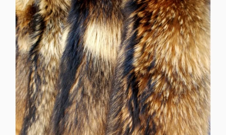 Шкуры енота и енотовидной собаки в продаже - фото № 5