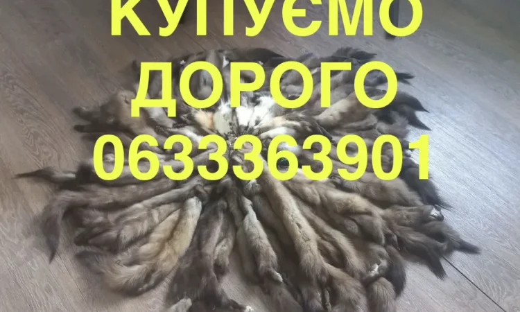 Купуємо хутро лісової куниці та шкіри - фото № 1