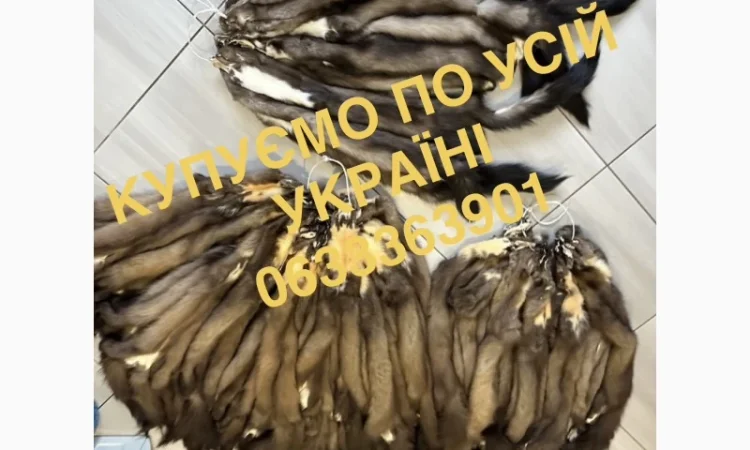Покупаем шкурки куницы и меховые изделия - фото № 1