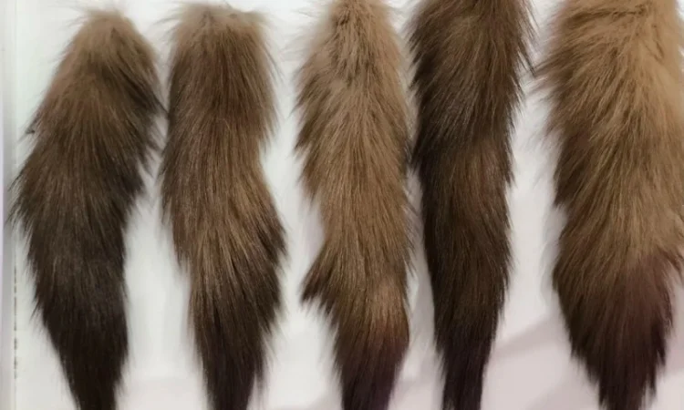 Хвосты куницы в продаже - фото № 1
