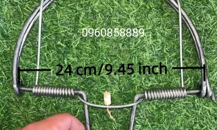 Эффективные пастки на фазана и куропатку - фото № 1