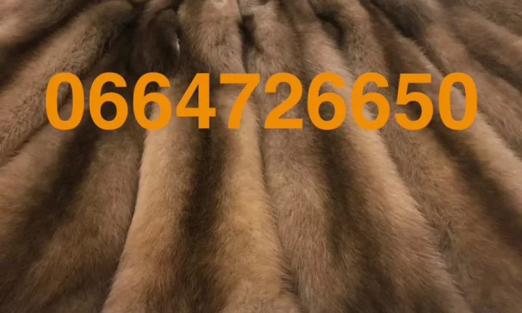 Пропонується шкура куниці, багато в наявності - фото № 1