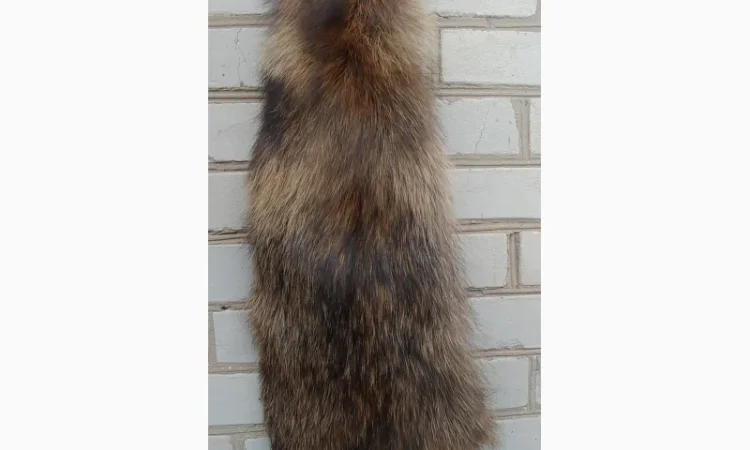 Продається хутро лисиці - фото № 6