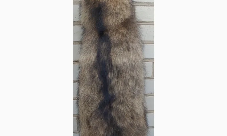 Продається хутро лисиці - фото № 12
