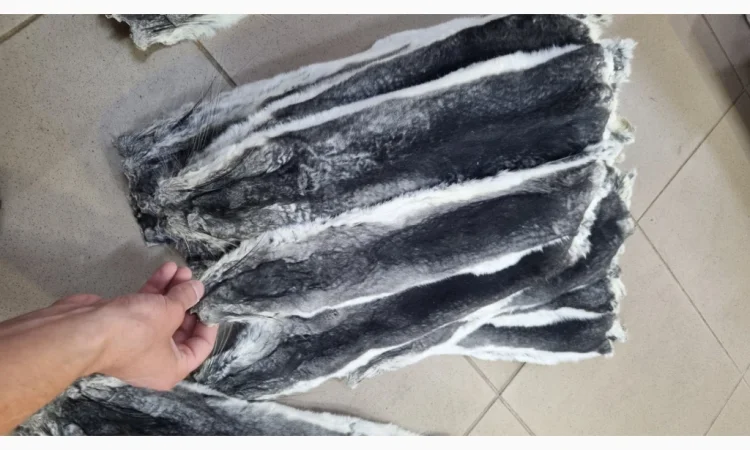 Купуємо шкурки шиншил дорого - фото № 1