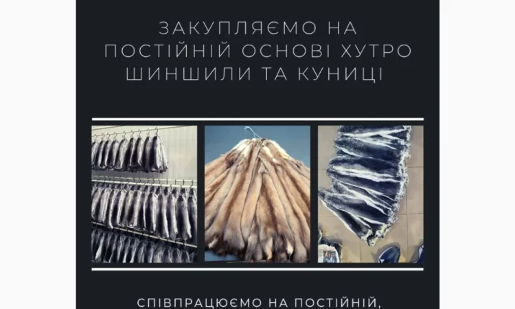 Куплю мех куницы на постоянной основе - фото № 1