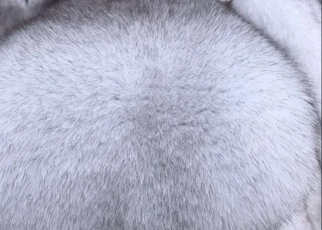 Шкуры песца вуалевого на продажу - фото № 1