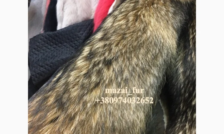 Продажа шкур енота - фото № 2