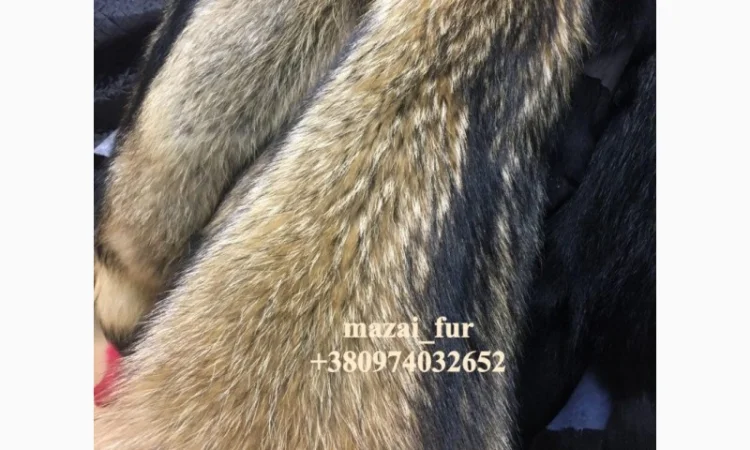 Продажа шкур енота - фото № 3