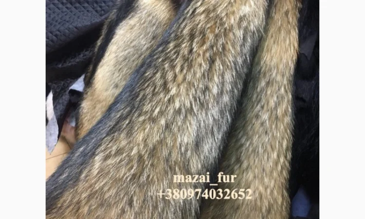 Продажа шкур енота - фото № 4