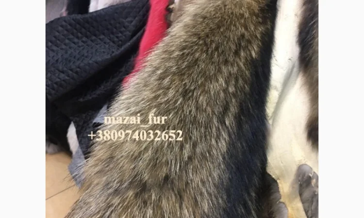 Продажа шкур енота - фото № 5