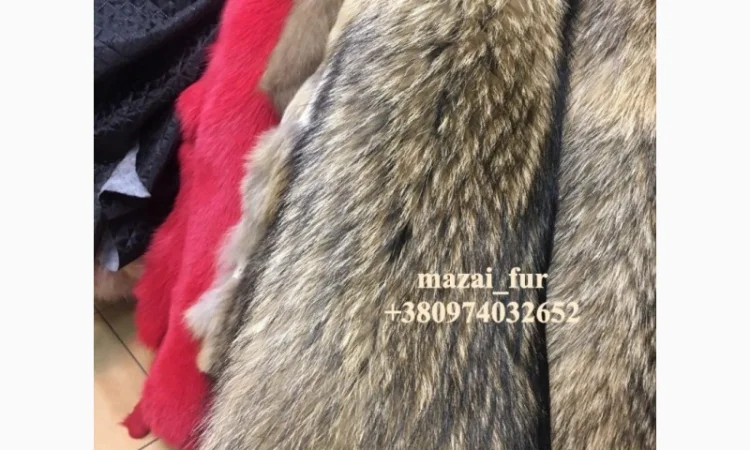 Продажа шкур енота - фото № 7