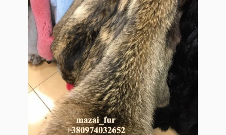 Зимние шкуры енота в продаже - фото № 5