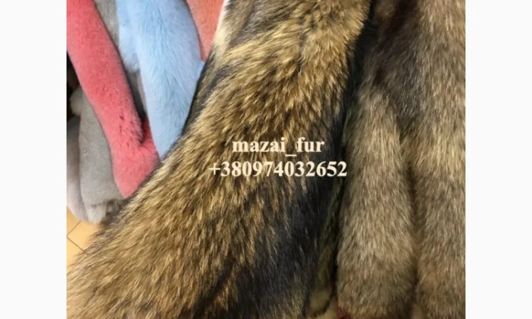 Зимние шкуры енота в продаже - фото № 6