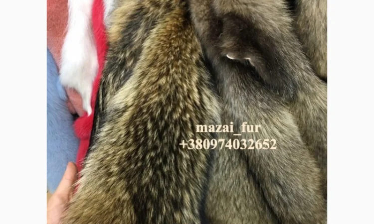 Зимние шкуры енота в продаже - фото № 8