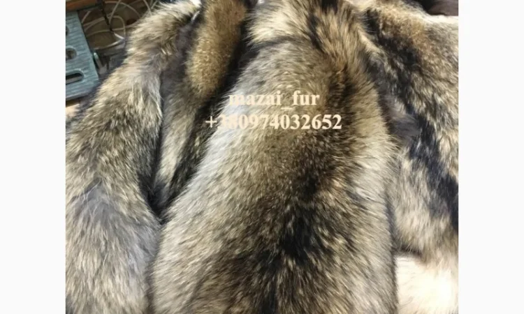 Шкуры енота кисточковый – продажа - фото № 2