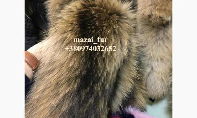 Шкуры енота кисточковый – продажа - фото № 5