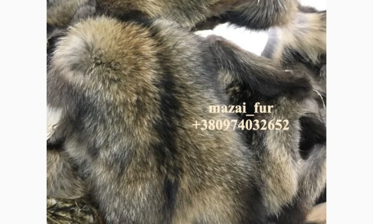 Шкуры енота кисточковый – продажа - фото № 6