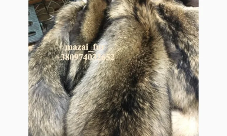 Шкуры енота кисточковый – продажа - фото № 7