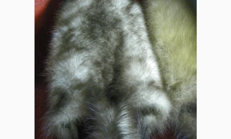 Натуральное хутро лесной и каменной куницы - фото № 5