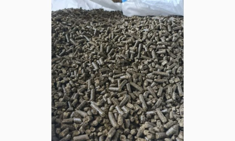 Топливні пелети з лушпиння насіння - фото № 2