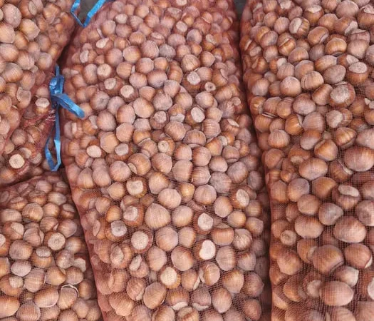 Продаж фундука та фісташки опт і роздріб - фото № 1