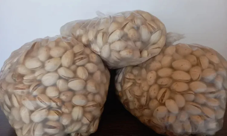 Фісташка Каліфорнійська - фото № 1