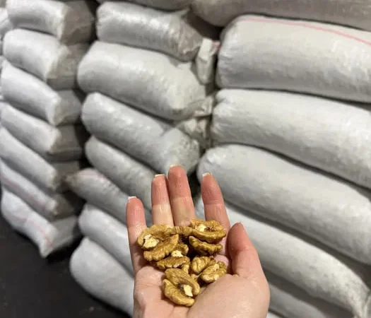 Грецкий Орех . 1,2,3 укр - фото № 1