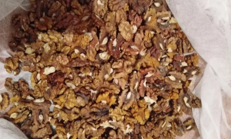 Орех грецкий чищеный - фото № 1