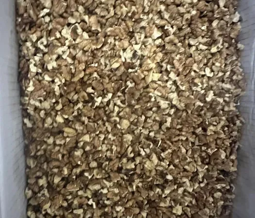 Орех грецкий 2025 - фото № 1