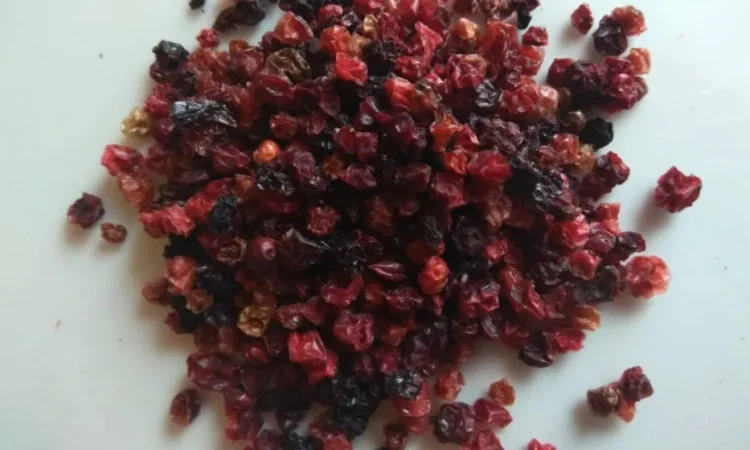 Брусника + Черника ягода з Карпат брусниця - фото № 1