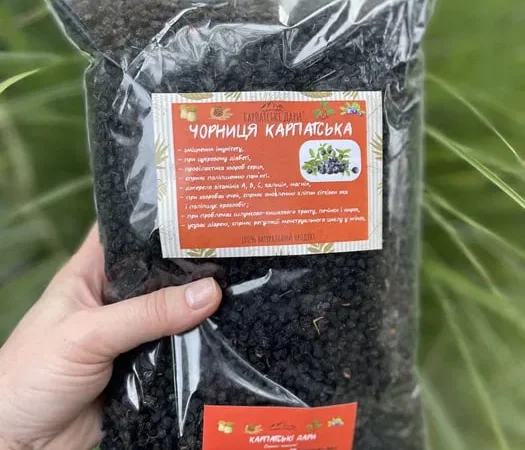 Сушена чорниця (черника сушеная) з Карпат - фото № 1