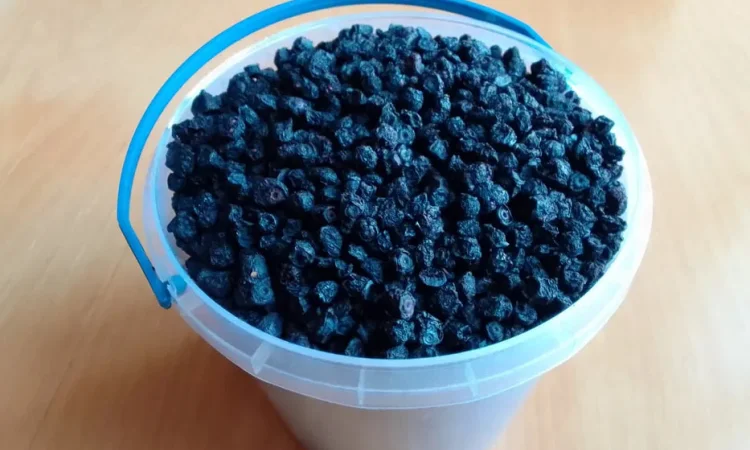 ЧОРНИЦЯ ЛІСОВА СУХА Збиралась і сушилась - фото № 1