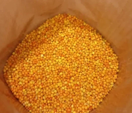 Обліпиха Ягода (Ягода Обліпихи\Облепиха) - фото № 1