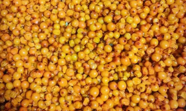 Лесная облепиха протёртая с сахаром - фото № 1