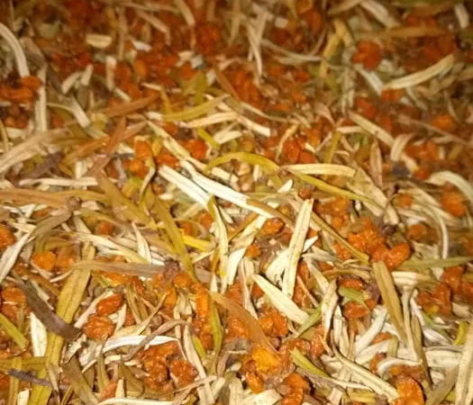 Обліпиха суха ягоди,чай,листя обліпихи - фото № 1