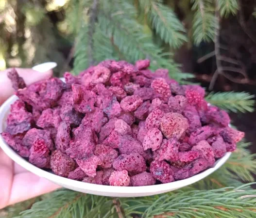 Суха,сушена малина ЛІСОВА, лесная ягода малина - фото № 1