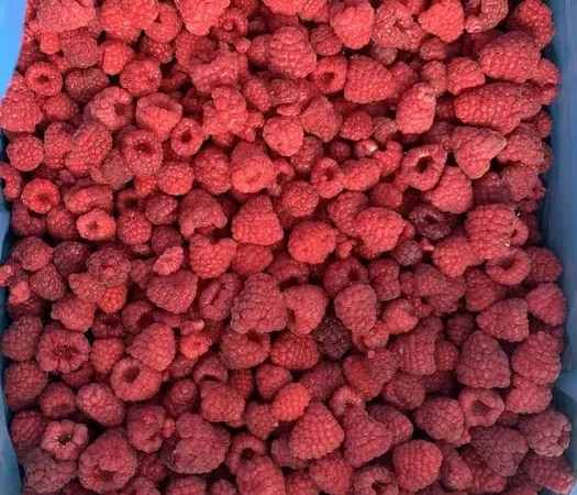 Малина замороженная - фото № 1