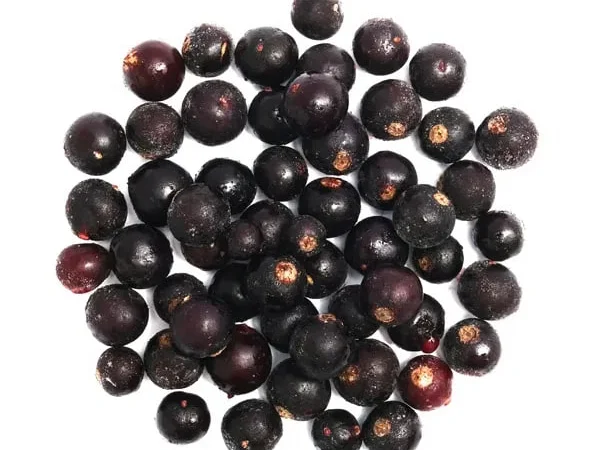 Ягоды/фрукты замороженные /вишня/смородина/малина - фото № 1