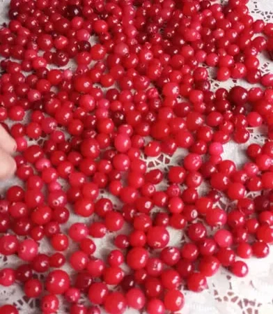 Продам клюкву - журавлину світленька - фото № 1